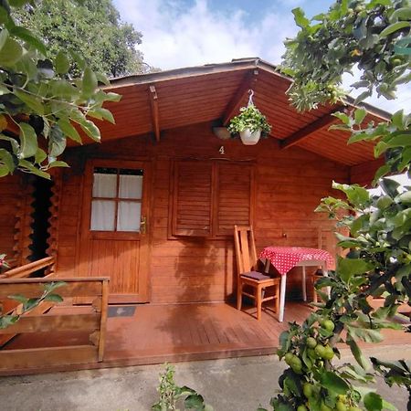Harmonia-Lak Vendeghaz Villa Praid Esterno foto