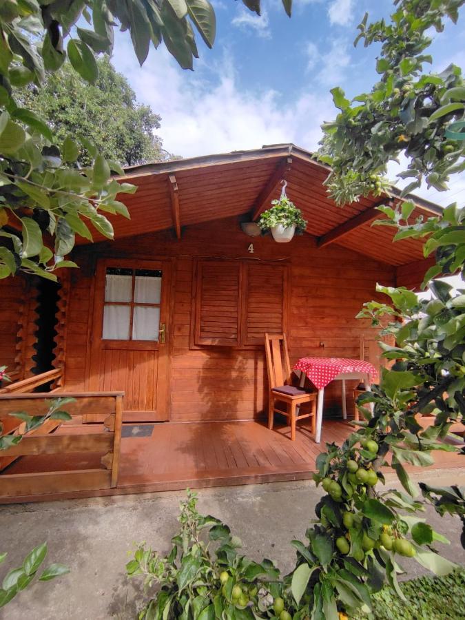 Harmonia-Lak Vendeghaz Villa Praid Esterno foto